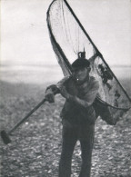 REPRO Le Normandie D'Autrefois Le Pecheur De Crevettes Peche - Fischerei
