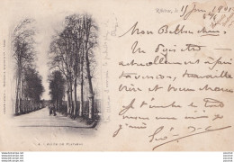 F9-24) RIBERAC (DORDOGNE) ALLEE DE PLATANES - ANIMEE - EN 1901 - ( 2 SCANS ) - Riberac