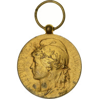 France, Médaille D'honneur Du Travail, Médaille, Très Bon état, Mattei, Gilt - Other & Unclassified