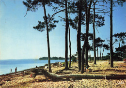 33 ANDERNOS LES BAINS LA PLAGE DES QUINCONCES - Andernos-les-Bains