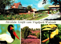 Walsrode Lueneburger Heide Vogelpark - Walsrode