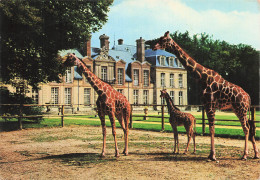 78 THOIRY CHATEAU DE THOIRY - Thoiry