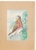 Jolie Aquarelle D'oiseaux Sur Carton De Format 150x205mm -Artiste   à Identifier +port - Acquarelli