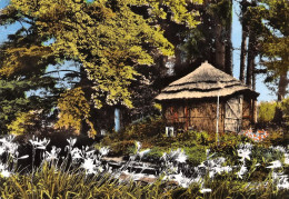 38 Val-de-Virieu Sur Bourbre La Maison De Repos (Scan R/V) N° 35 \MT9153 - Virieu