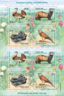 2024 RUSSIA FAUNA BIRDS SHEETLET 2 SETS - Neufs