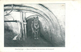 CPA Thèmes > Métiers > Mines CHARBONNAGE - DANS LA FOSSE : UN BOUVEAU DE TRANSPORT - Miniere