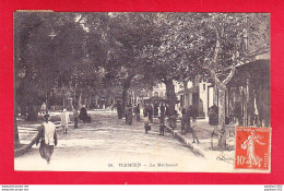 E-Algerie-283A01  TLEMCEN,  Le Méchouar, Animation, Cpa - Tlemcen