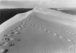 33 Le Pilat Plage La Teste-de-Buch Bassin D' ARCACHON Dune De SABLONEY  (scan R/V) N° 48  \ PE1319 - Andernos-les-Bains