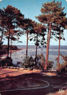 33  échappée Sur Le Bassin D' ARCACHON   (scan R/V) N° 33.Bis  \ PE1319 - Andernos-les-Bains