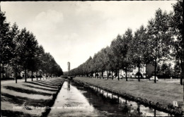 CPA Emmeloord Noordoostpolder Flevoland Niederlande, Lange Dreef Met Meeuwenkant - Andere & Zonder Classificatie