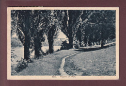 BASEL - Pappeln Am Rhein - 1921 - Basel