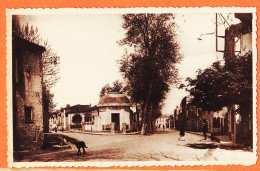 39417 /  ️ Rare Cliché CIM REVEL 31-Haute Garonne Boulevard Etablissements BAINS-DOUCHES 1930s COMBIER - Revel