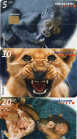SWITZERLAND - CHIP CARD - SWISSCOM - SERIES 20 - YOUNG AND WILD - ANIMAL - Switzerland