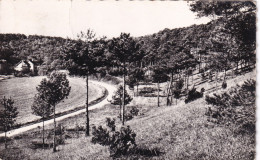 BOISSY LA RIVIERE ROUTE DE MAROLLES 1964 CPSM 9X14 TBE - Boissy-la-Rivière