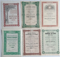 Lot Van 6 Mooie Aandelen Uit Belgisch Congo (lot E) - Afrika