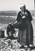 CPM La Normandie D'Autrefois Les Pecheuses De Coques Peche Femme - Fischerei