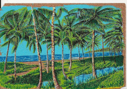 La Guyane Française Carte Sur Liège Ville De Cayenne La Plage De Mont Joly - Cayenne