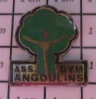 SP05 PINS PIN'S / Beau Et Rare : SPORTS / GYMNASTIQUE FEMININE CLUB ANGOULINS - Ginnastica