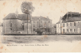 Saint Yrieix La Perche ( 87 -Haute Vienne )  La Place Des Hors - Saint Yrieix La Perche