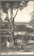 CPA Algérie - Blida - Vue Entre Les Pins - Blida