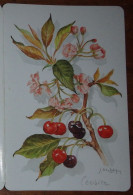 Petit Calendrier Poche 1999  Arbre Fruitier Cerisier Pharmacie Louverné Mayenne - 3 Volets Calendrier St Jean - Petit Format : 1991-00
