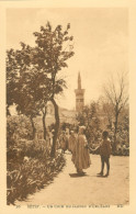 Algérie )   SETIF  -  Un Coin Du Jardin D' Orléans - Setif