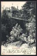 AK Olten, Brücke Zum Säli-Schlösschen - Olten