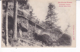 Jolie CPA Senones, Vosges, Roches Mère-Henri - Senones