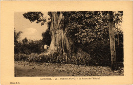 CPA DAHOMEY - Porto-Novo - La Route De L'Hopital (86676) - Dahomey