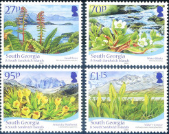 South Georgia. Flora 2010. - Falkland Islands