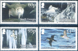 South Georgia. Fauna. Uccelli 2011. - Falkland Islands