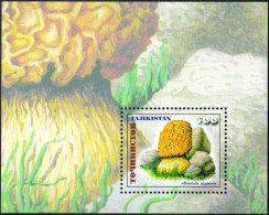 Tajikistan. 1999. Mushroom. Champignon - Tadjikistan