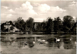 Reinbek, Der Mühlenteich Mit Schloss Und E-Werk - Reinbek