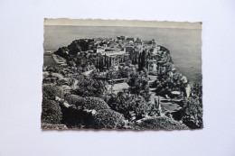 MONACO  -  Le Rocher Et Les Jardins Exotiques - Exotic Garden