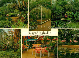 Walsrode Lueneburger Heide Vogelpark Paradieshalle Details - Walsrode