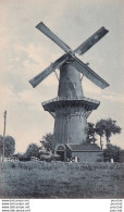 MOULIN A VENT - EDITEUR THE KNIGHT SERIES - N° 729 - ( ANIMEE - 2 SCANS ) - Windmills