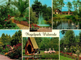 Walsrode Lueneburger Heide Vogelpark Walsrode Fontaene Schwanenteich Flamingos - Walsrode