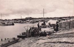 33* GUJAN MESTRAS   Le Port (CPSM 9x14cm)       RL53,0562 - Gujan-Mestras