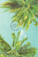 DOM-TOM-POLYNESIE FRANCAISE-N°TB3556-C/0345 - Französisch-Polynesien