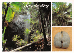 ET-SEYCHELLES PRASLIN VALLEE DE MAI-N°TB3557-B/0107 - Seychellen
