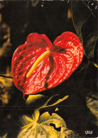 DOM-TOM-LES ANTILLES ANTHURIUM-N°TB3557-D/0269 - Other & Unclassified