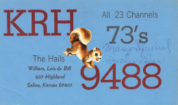 QSL- RADIO AMATEUR SALINA-N°TB3566-E/0359 - Radio Amateur