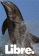 TH-DAUPHINS-N°TB3569-C/0089 - Dolphins