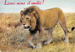 TH-LIONS-N°TB3569-B/0207 - Löwen