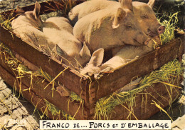 TH-COCHONS-N°TB3569-B/0205 - Varkens
