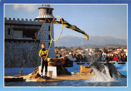 TH-DAUPHINS-N°TB3569-A/0391 - Dolphins