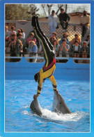 TH-DAUPHINS-N°TB3569-A/0363 - Dolphins