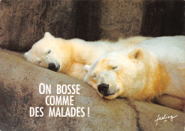TH-OURS-N°TB3569-A/0349 - Bears