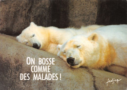 TH-OURS-N°TB3569-A/0341 - Bears