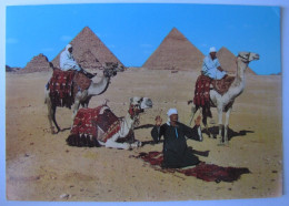 EGYPTE - GIZEH - Les Pyramides - Gizeh